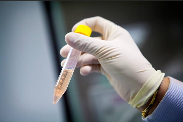 Ipamorelin Peptide