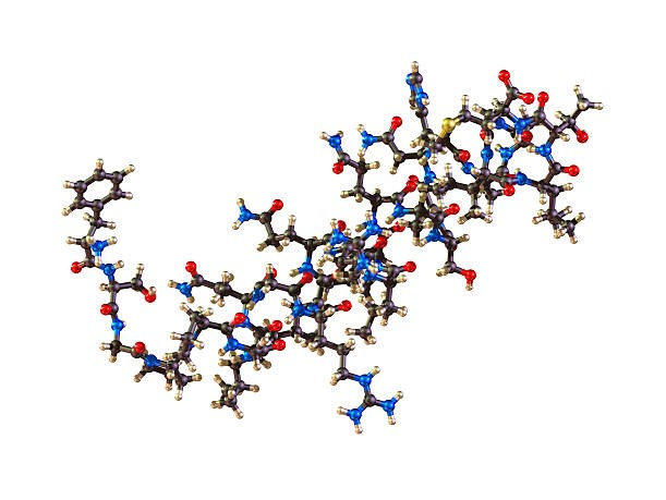Peptide Sequence Length